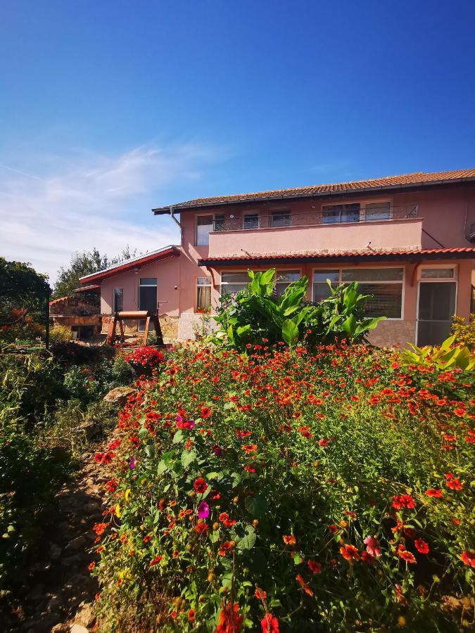 Guest House Ezerets Buitenkant foto